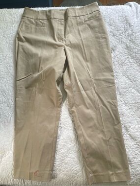 Ann Taylor Factory Cropped Straight-Leg Pants in Light Khaki